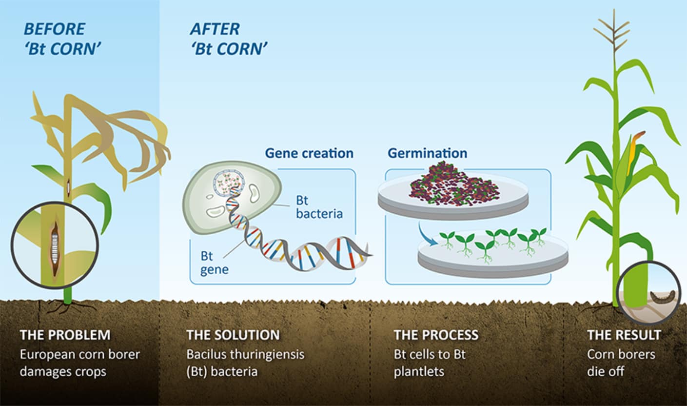 Modified Corn Seed FTI Consulting Trial & Arbitration Support